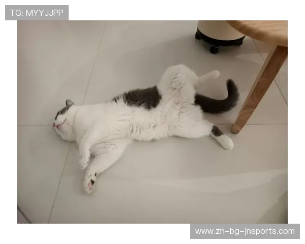 从赛场到生活韩援Yasal视频更新一句要不要去我家看猫咪呀引发粉丝关注